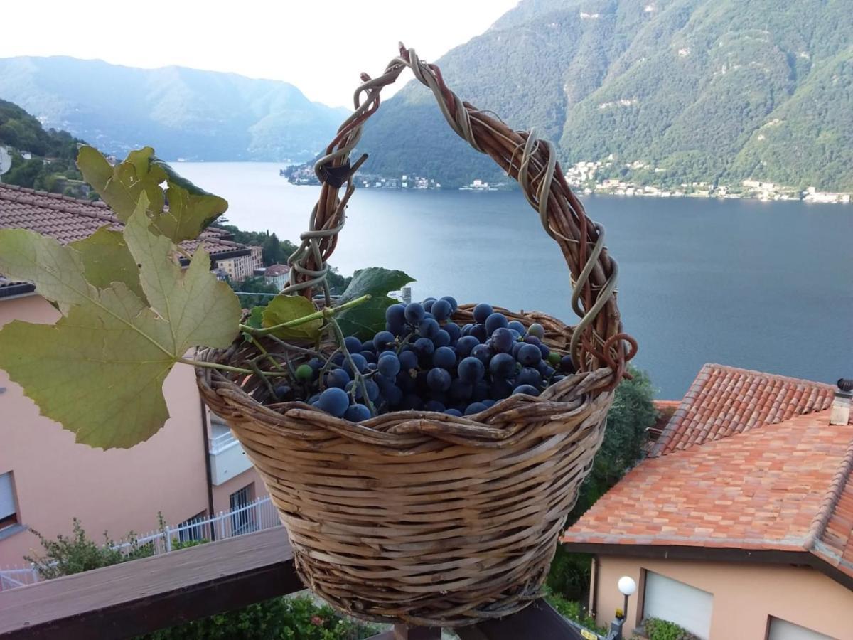 Romantic Home - Lake Como نيسّو المظهر الخارجي الصورة