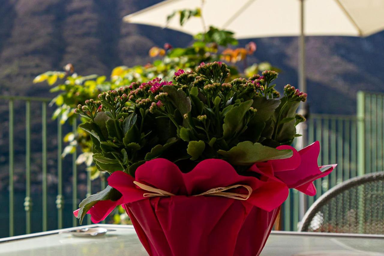 Romantic Home - Lake Como نيسّو المظهر الخارجي الصورة